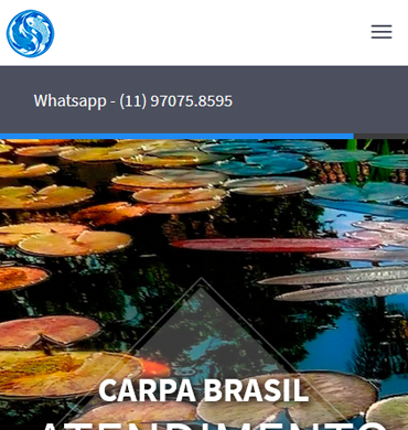 Carpa Brasil
