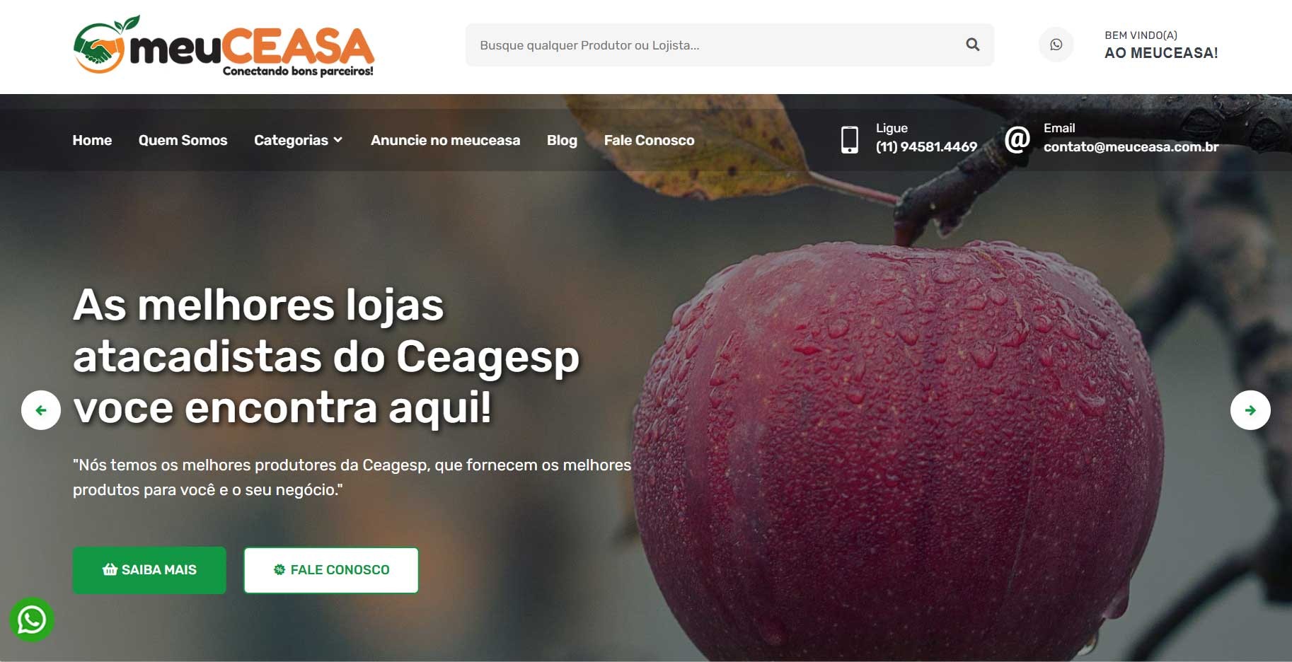 Novo Projeto chegando Site com CMS customizado! meuCEASA