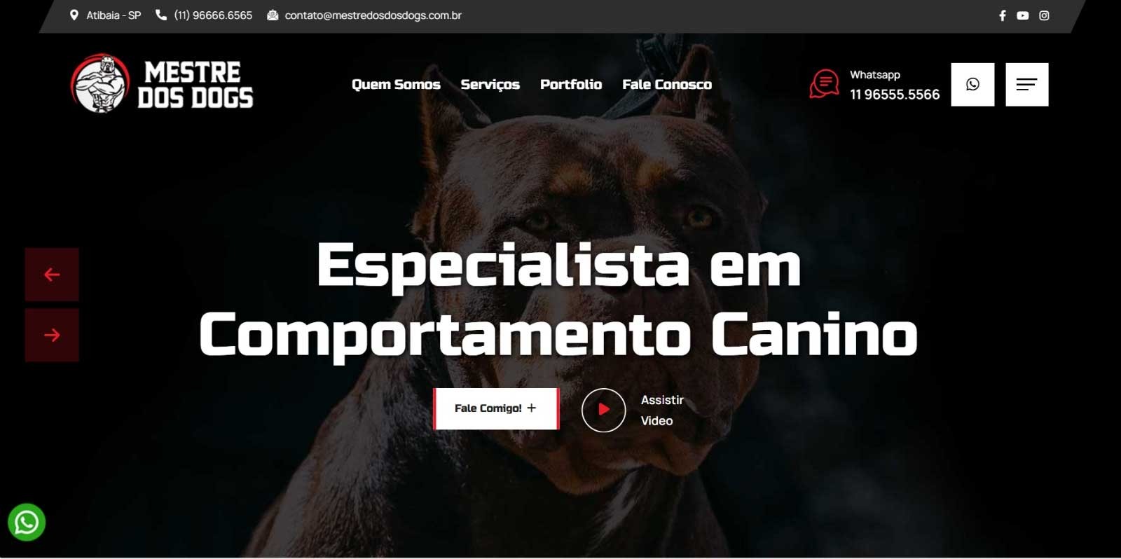 Novo Projeto Web Chegando! Mestre dos Dogs  - Especialista em Comportamento Canino!