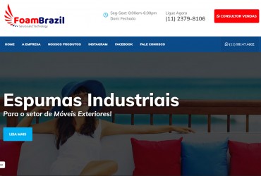 Foam Brazil se tornando lider de buscas SEO em seu mercado!