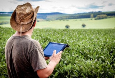 Startups promovem revolução digital no setor agrícola